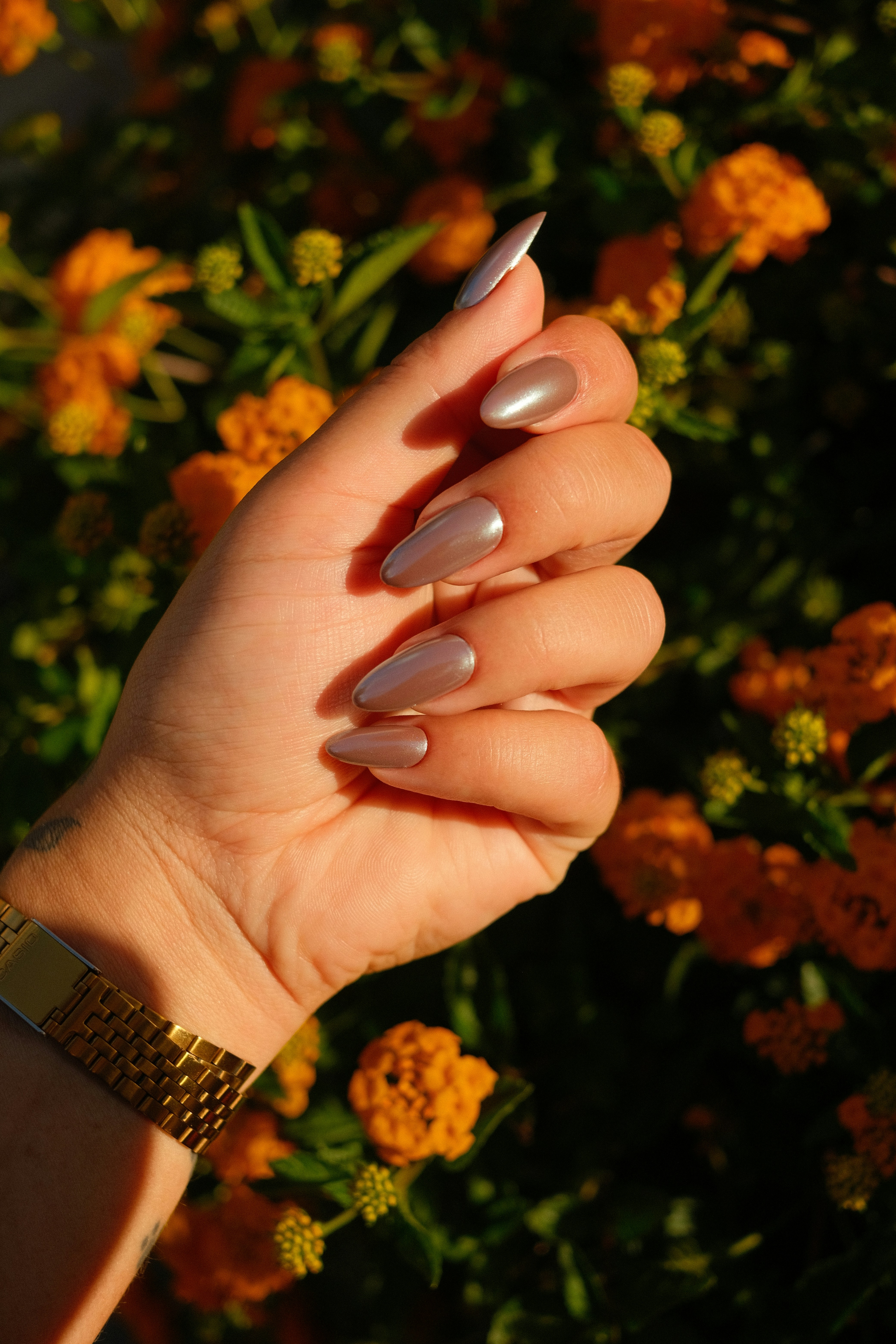 Classic French nail design